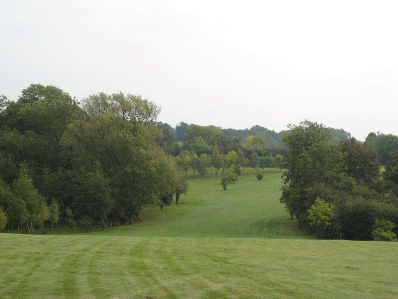 Phoenix Course