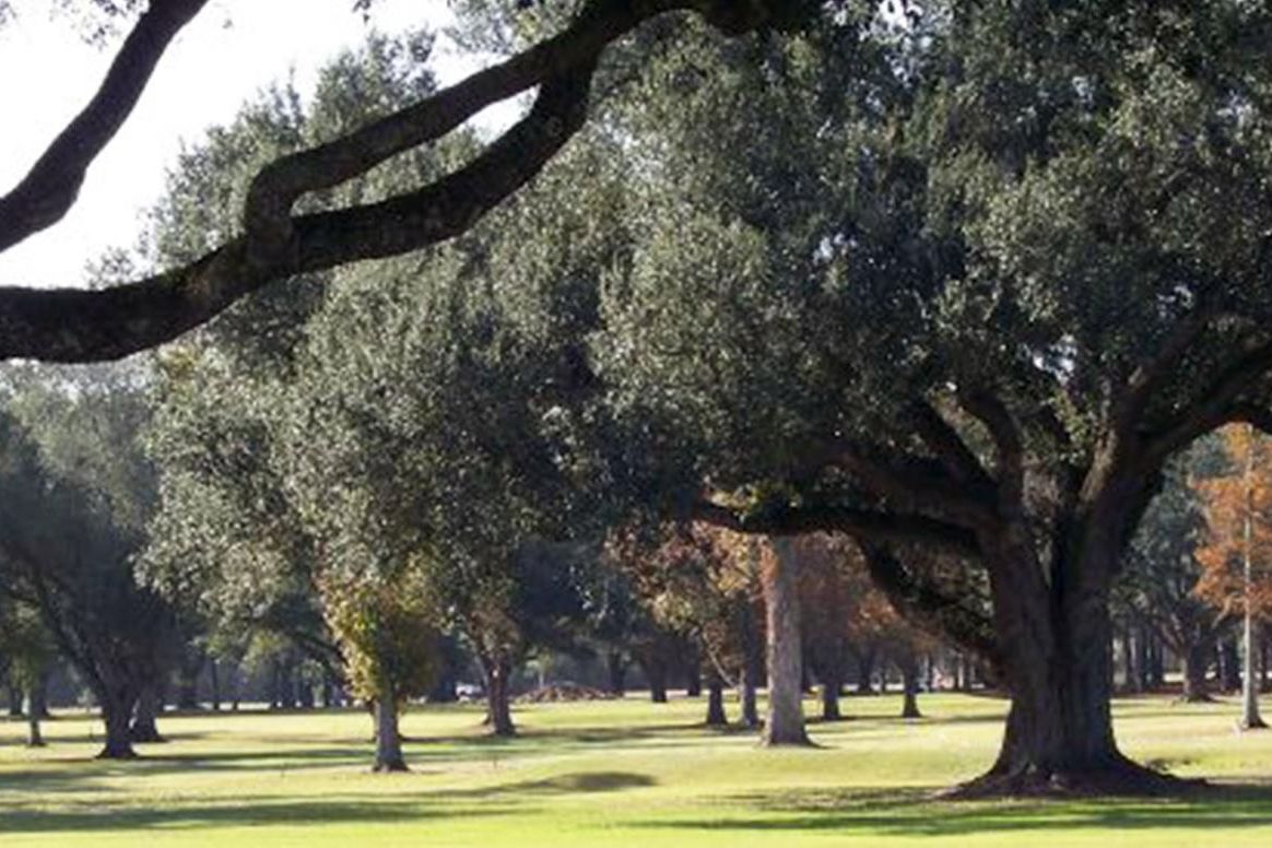 Southern Oaks Golf Club