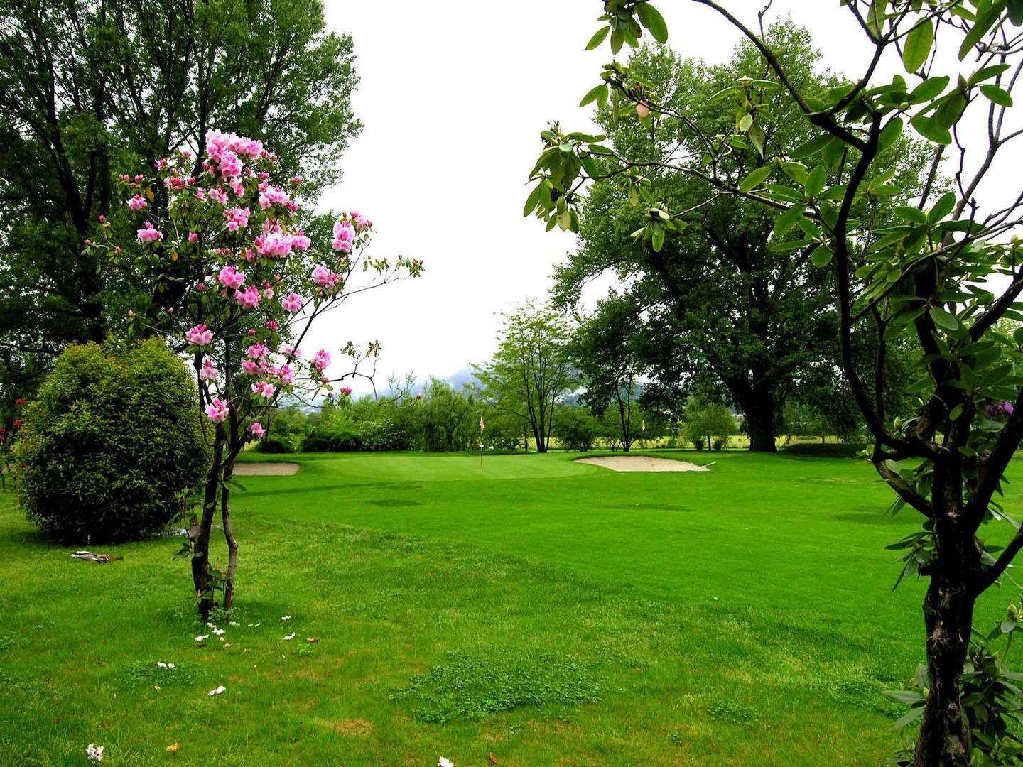 Pitch&Putt Course