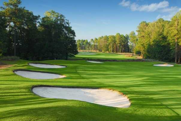 Hummingbird Course