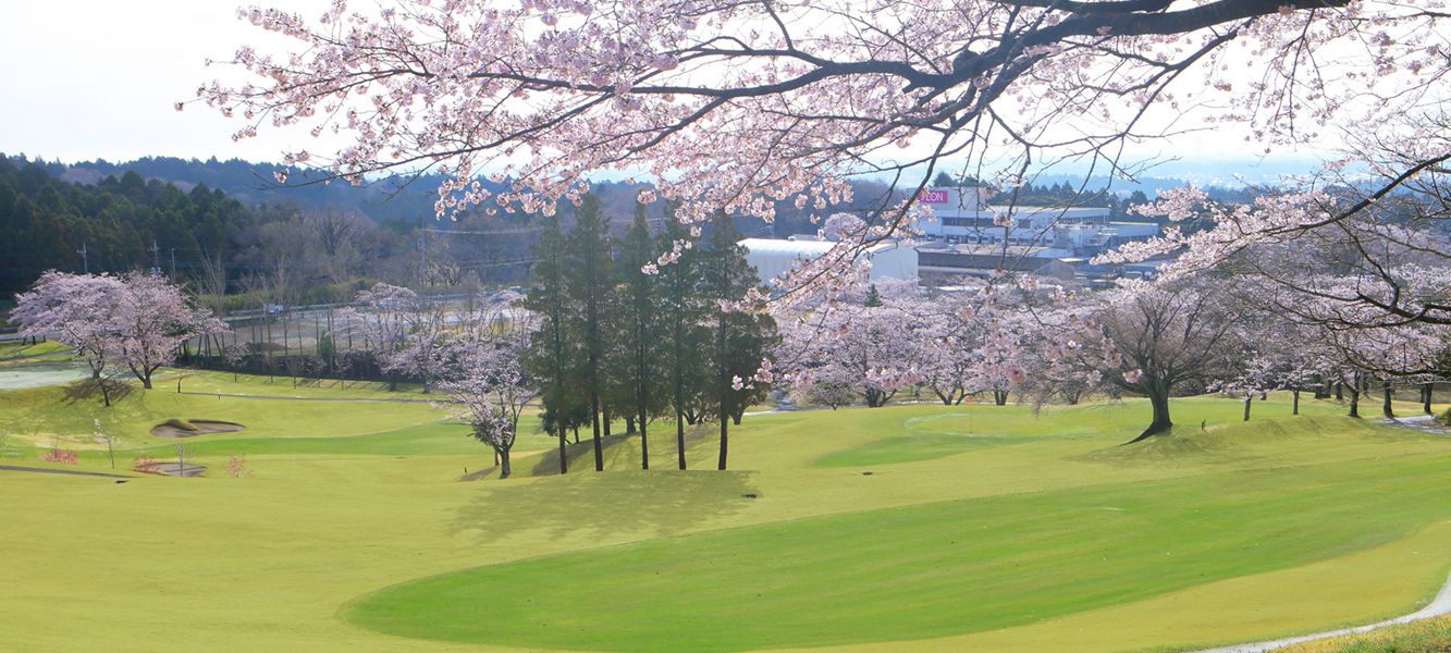 South/West Course