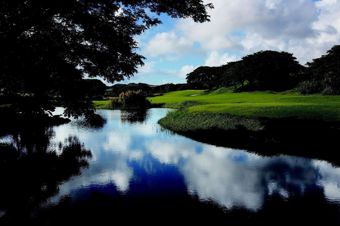 Bougainvillea Course