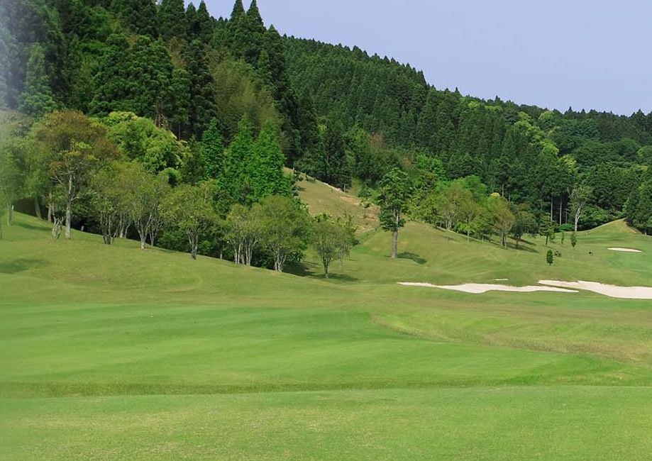 Middle/West Course