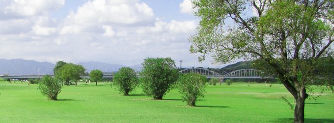 Short Course