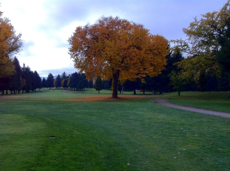 Birchbank Golf Course