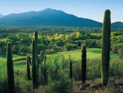 Rancho Manana Golf Club