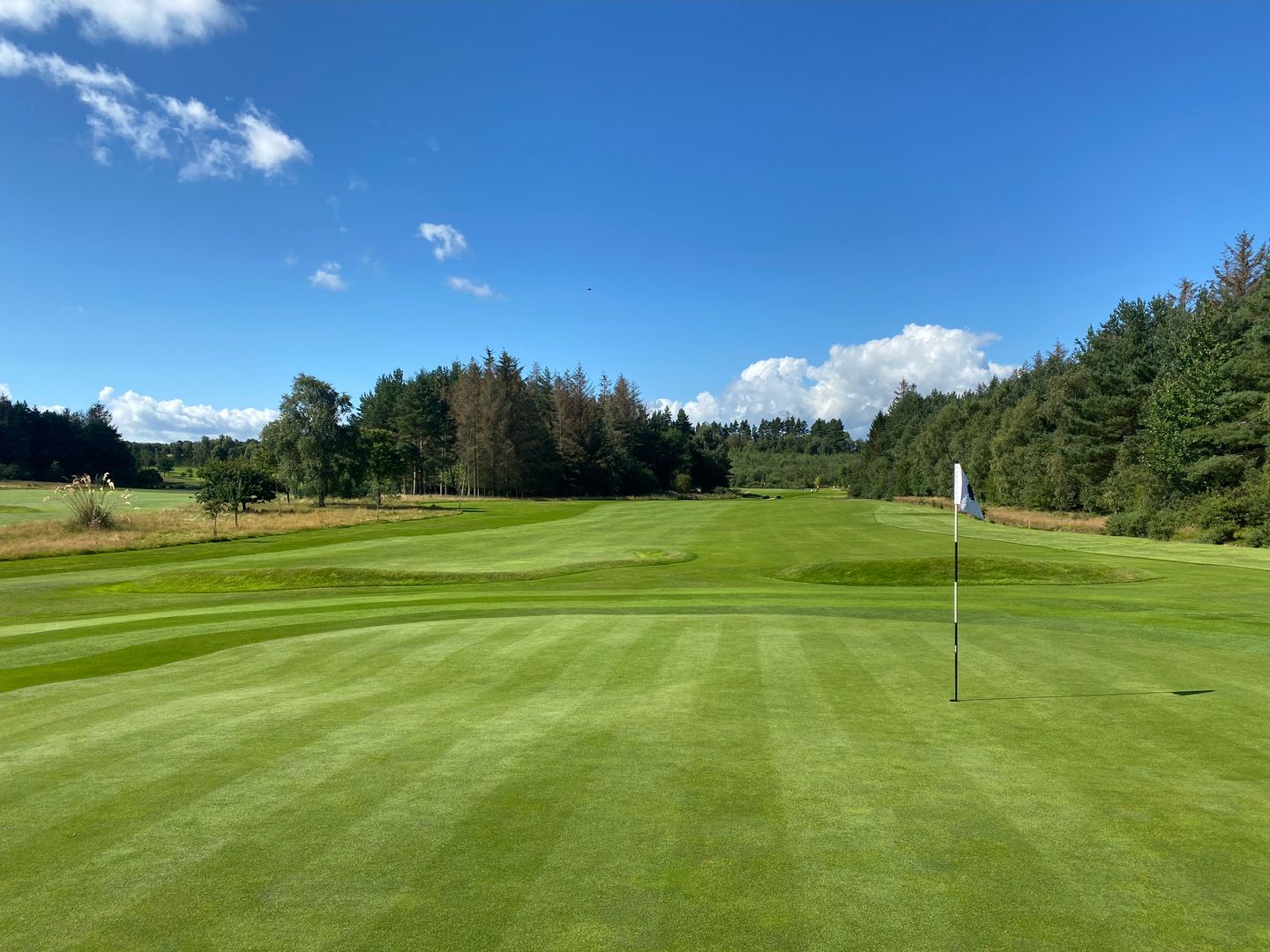 Gifford Golf Club