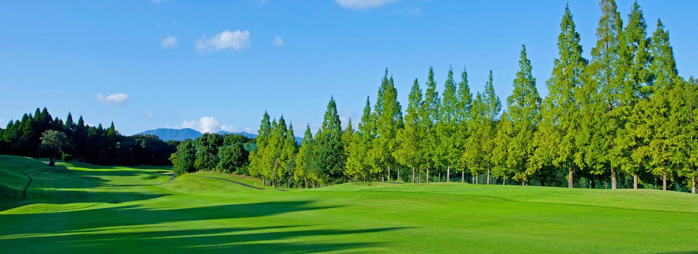 Within Style Golf Club