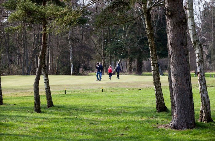 Par 3 Course