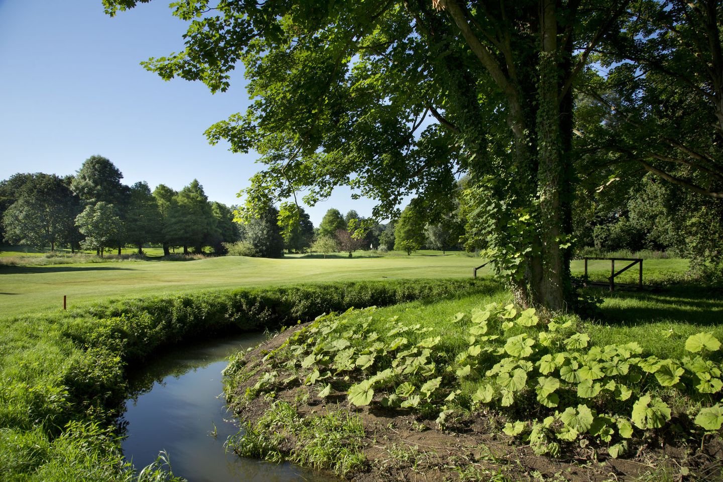 John O'Gaunt Course
