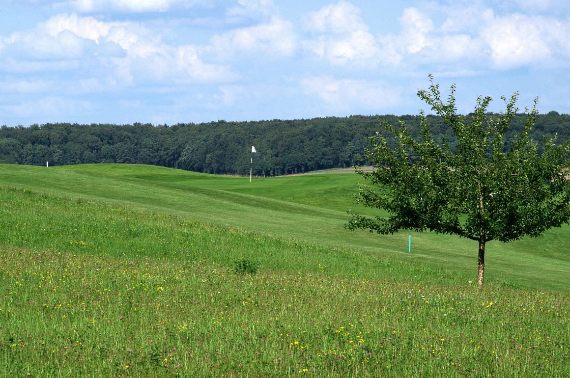 Kaiserhoehe Golf Club
