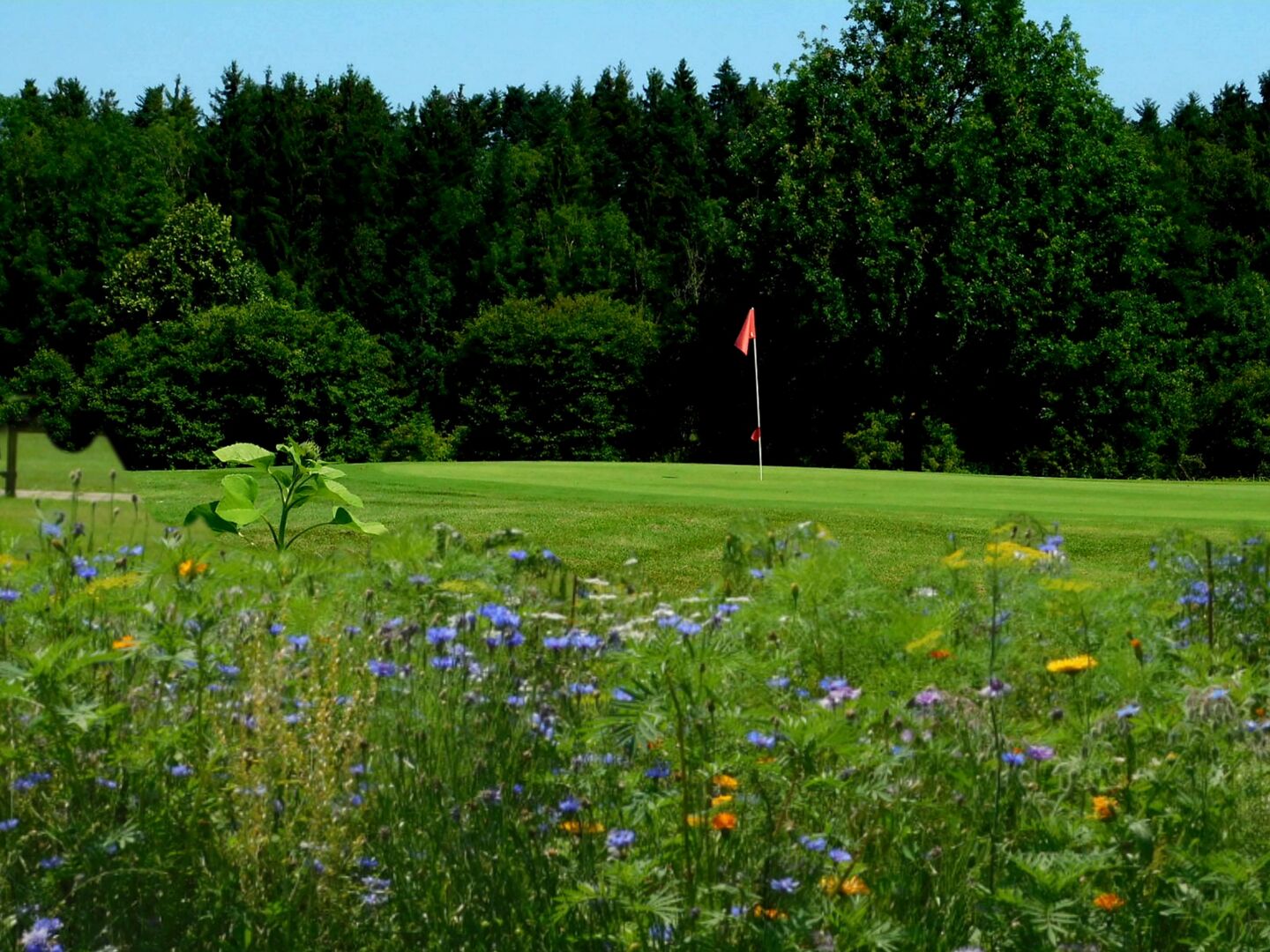 Ravensburg Golf Club