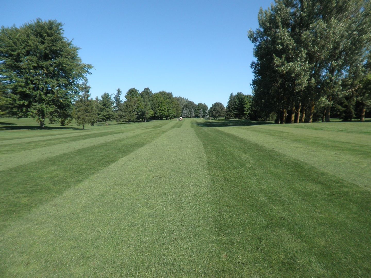 Dundee Golf Club