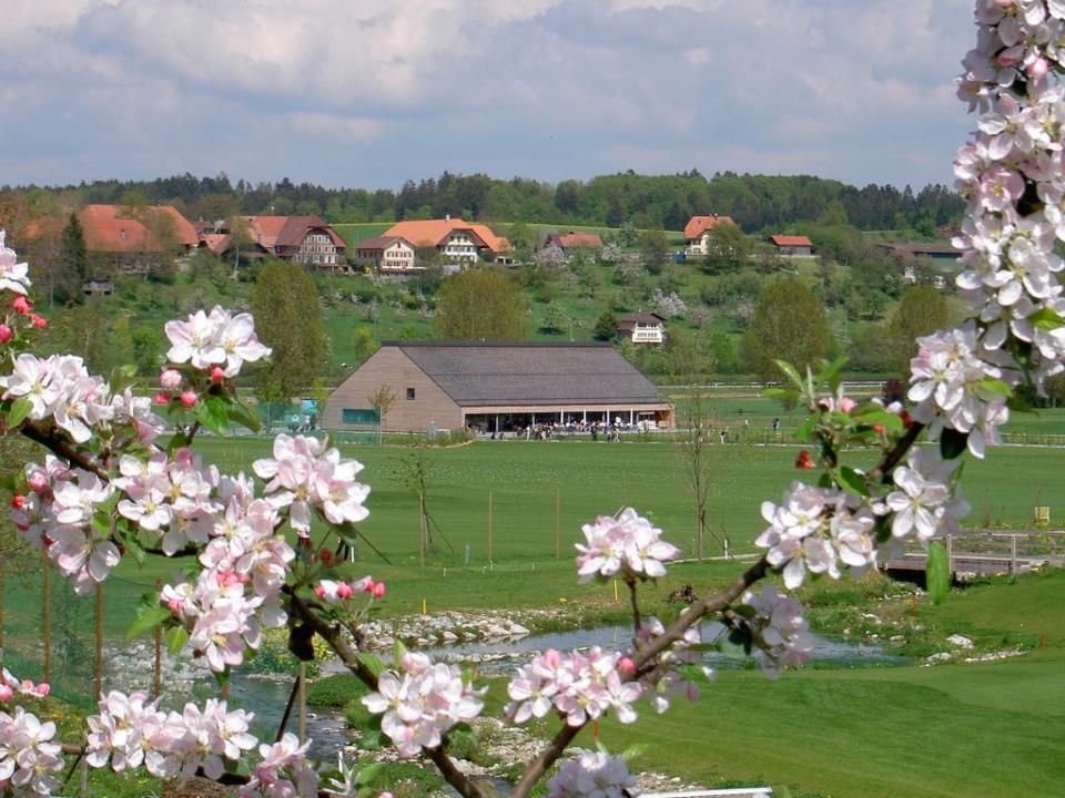 6-hole Course
