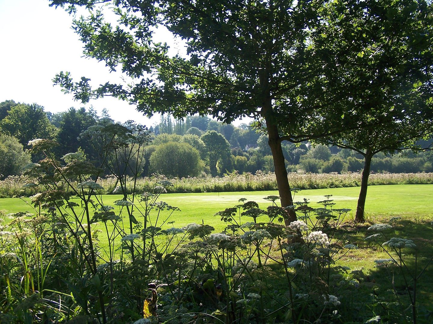 Golf Pastoral de la Charentonne