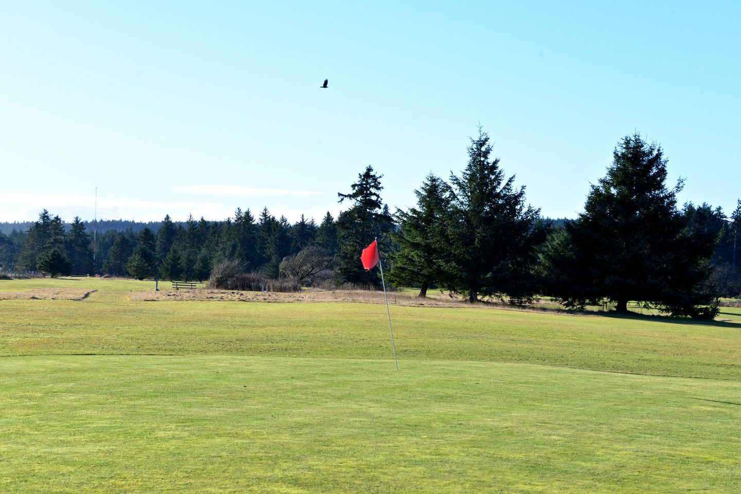 Willows Golf and Country Club
