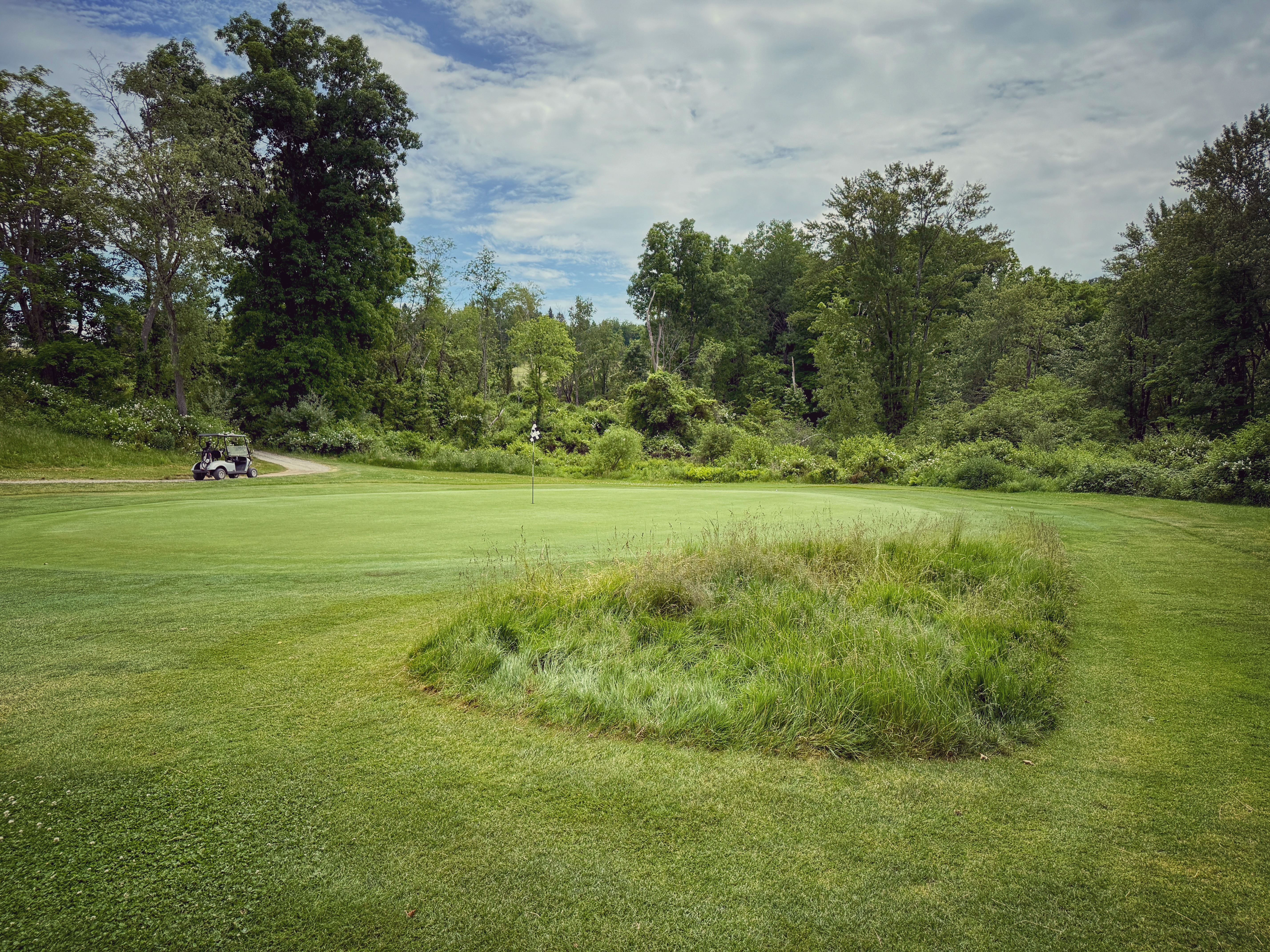 This hairy, drivable par 4 is a Cool Golf Hole