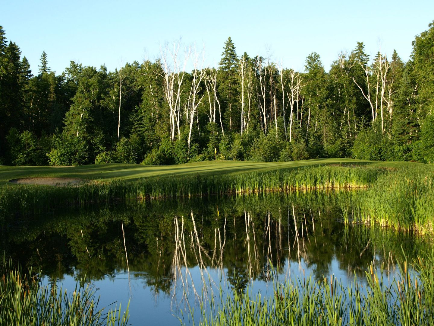 Hollinger Golf Club