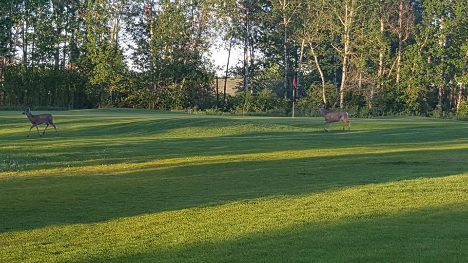 Silver Lake Golf Club