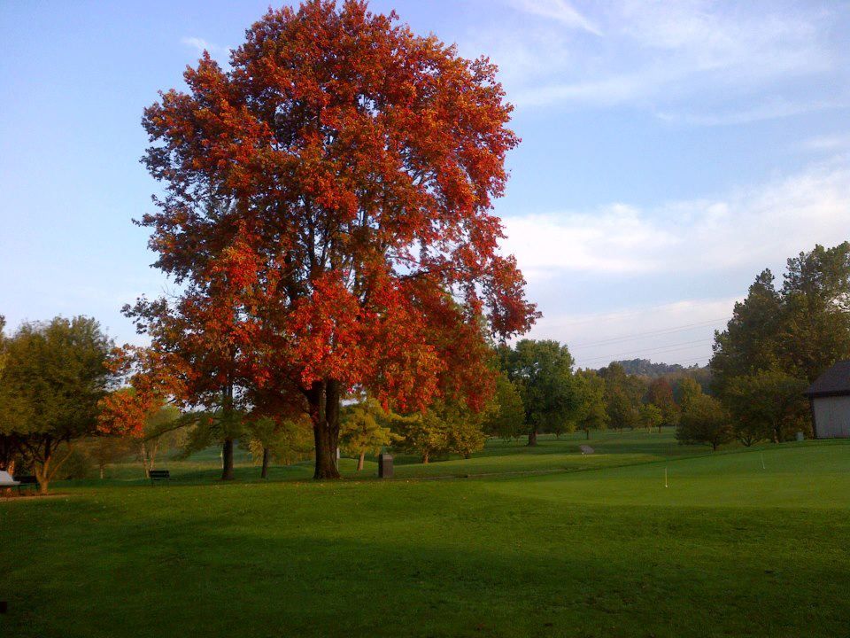 Par 3