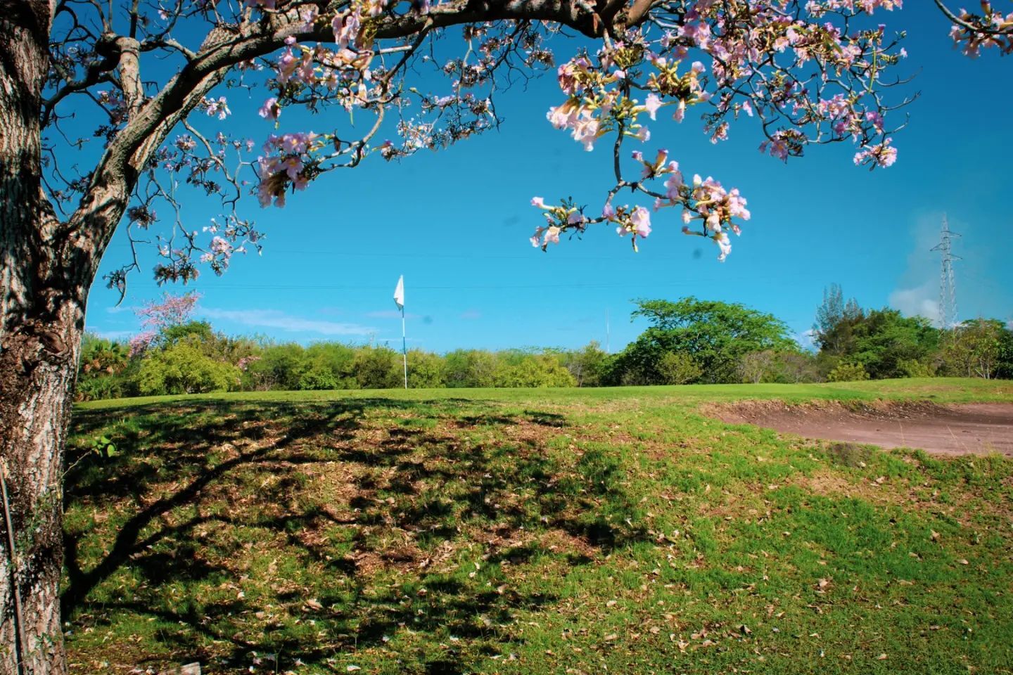 Country Club Mante