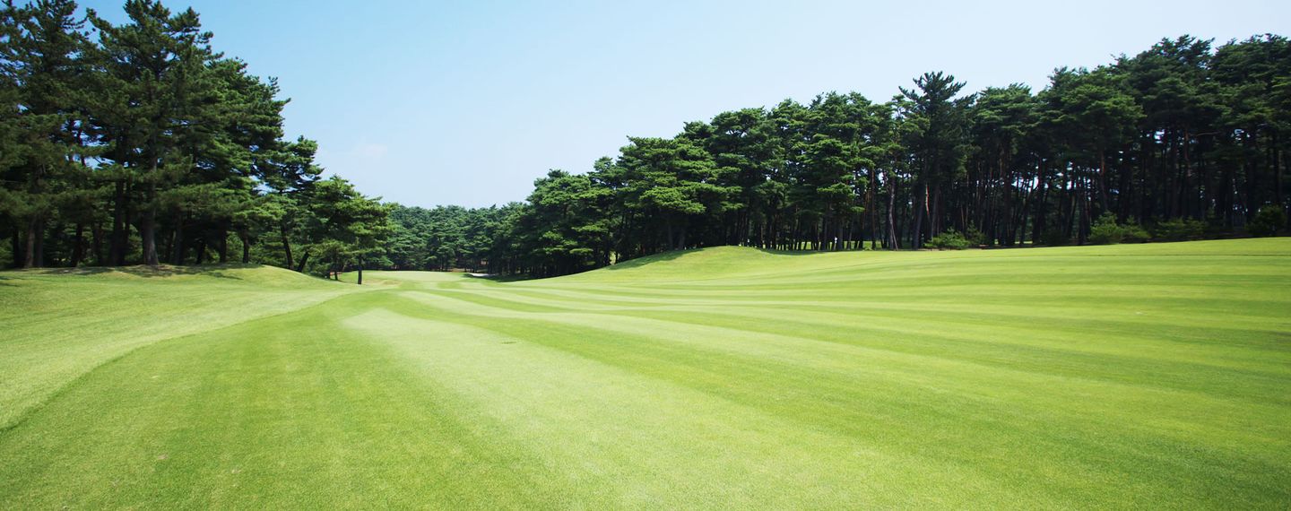 Middle/West Course