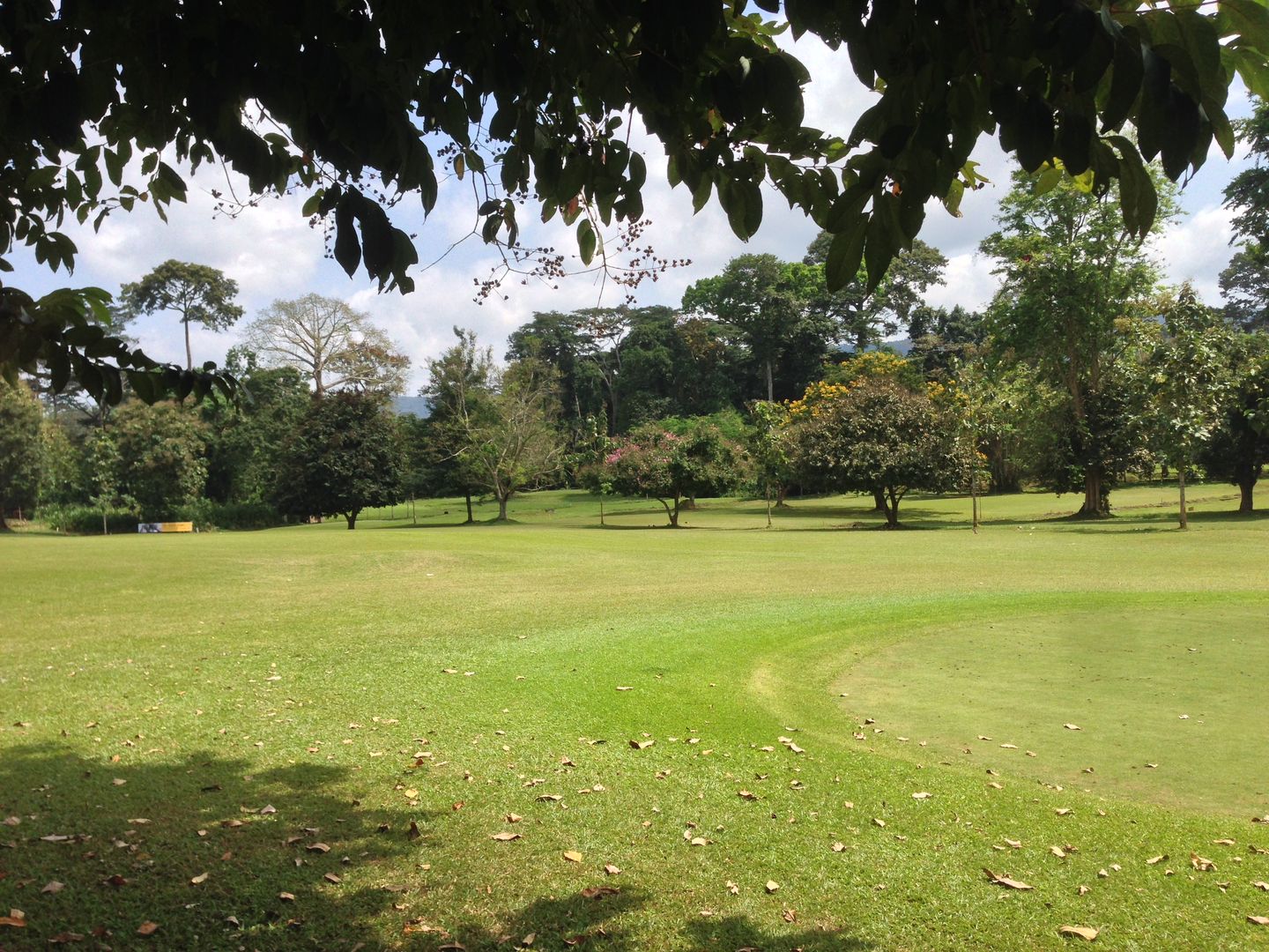 Tafo Golf Club