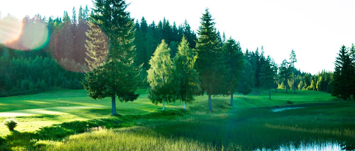 Malungs Golf Club