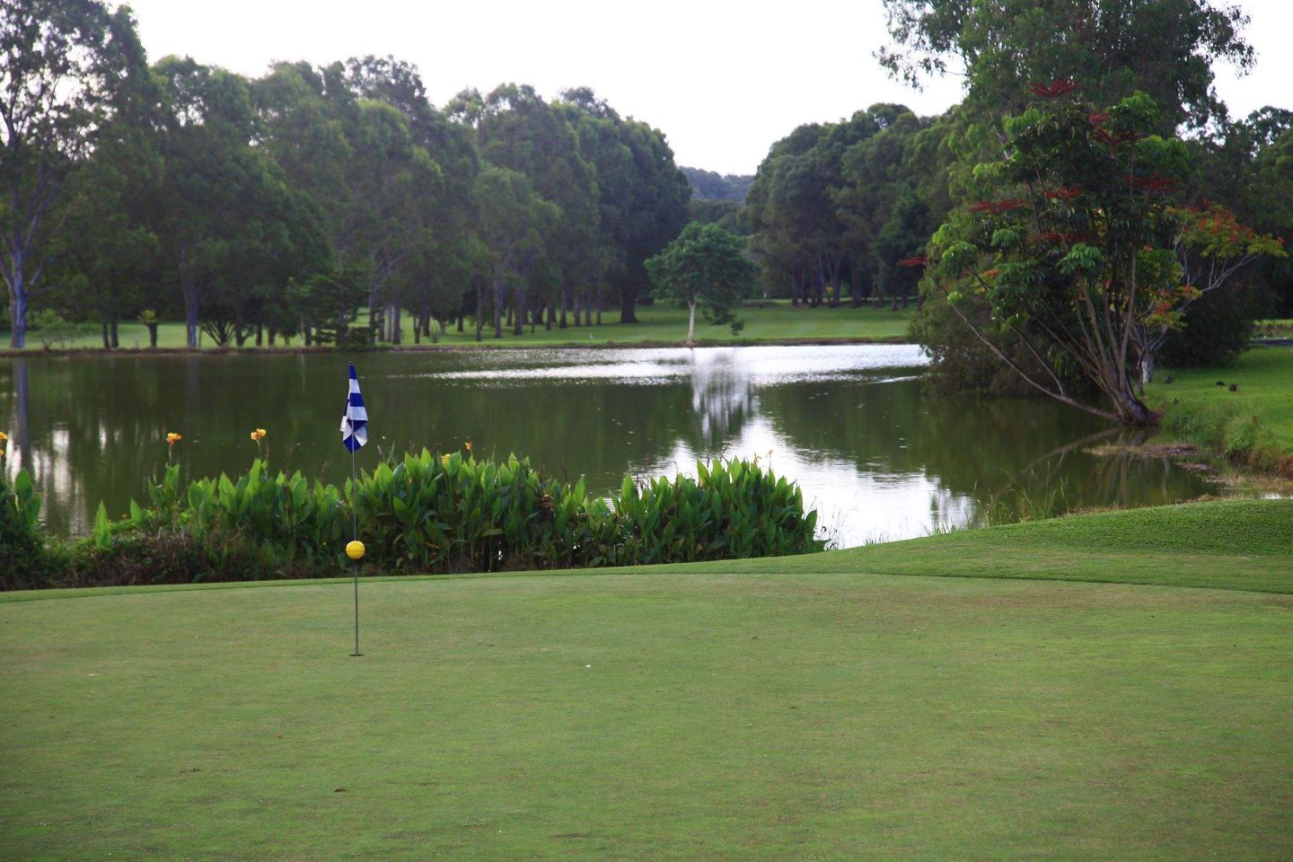 Tallebudgera Golf Course