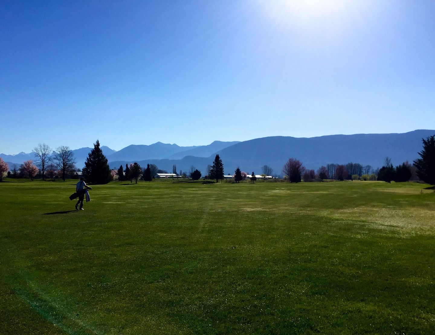 Royalwood Golf Club