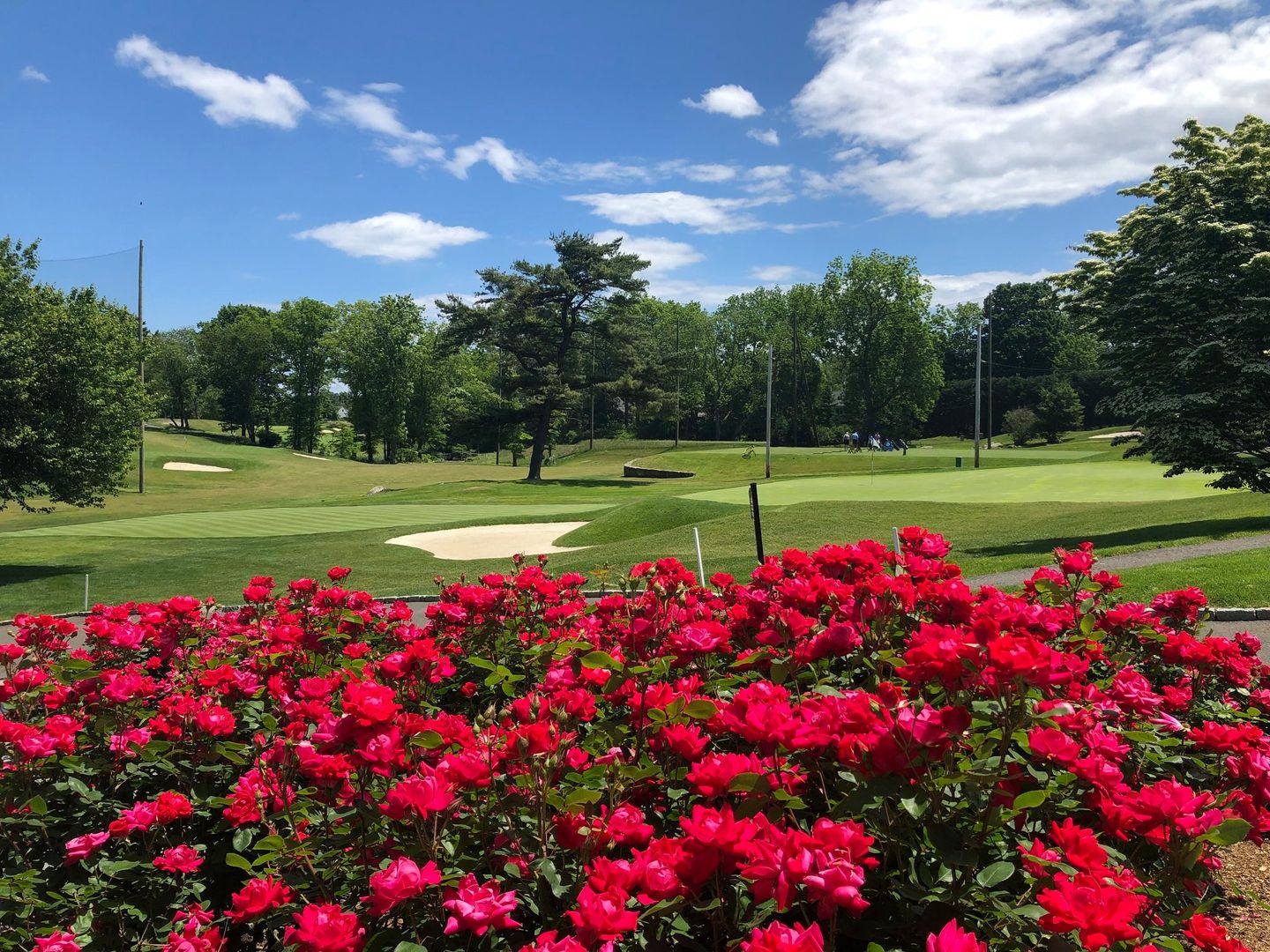 Innis Arden Golf Club