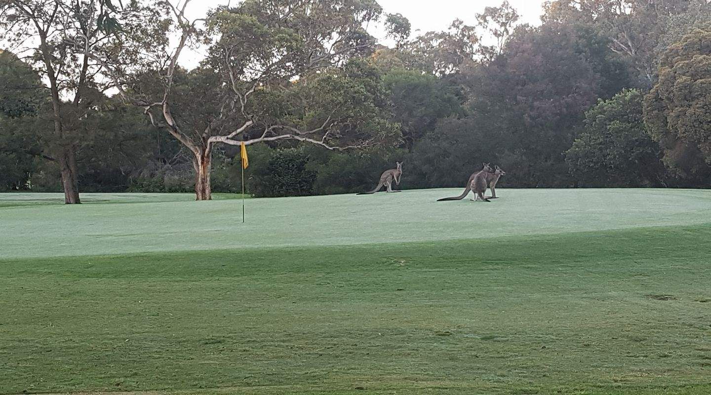 Bundoora Park Public Golf Course