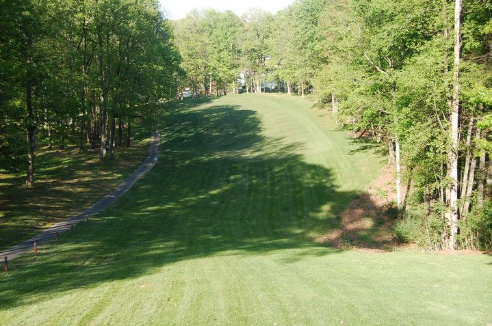 Woods/Pines