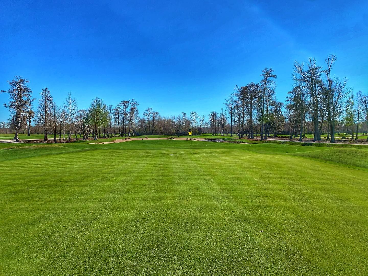TPC Louisiana in Avondale, Louisiana, USA GolfPass