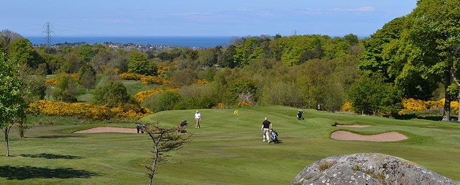 Ava