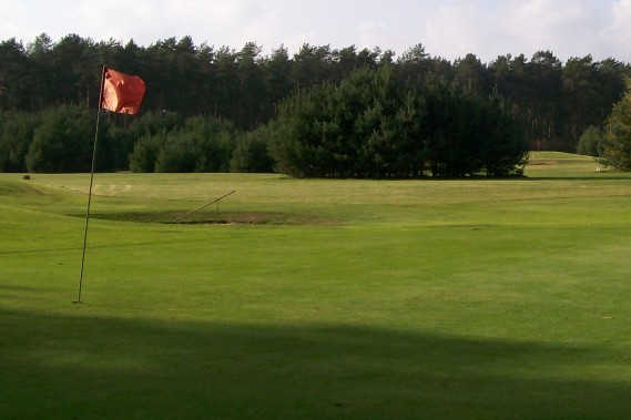 Heidewald Herr Holger Dieckmann Golf Park