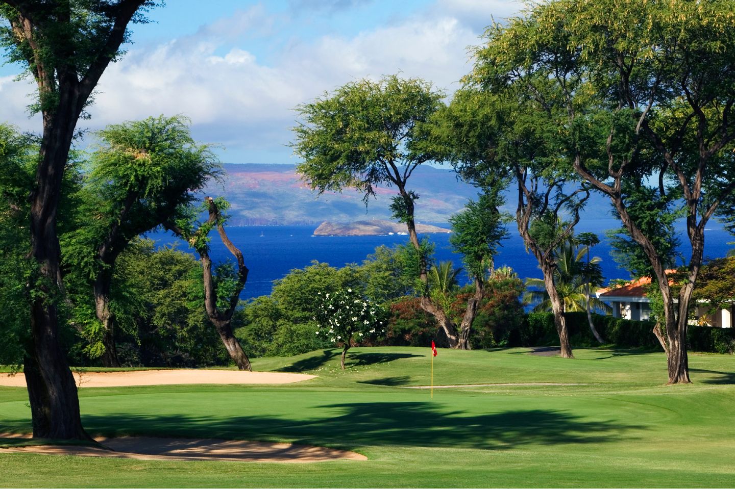 希少！90sヴィンテージ Imperial Wailea Golf Course