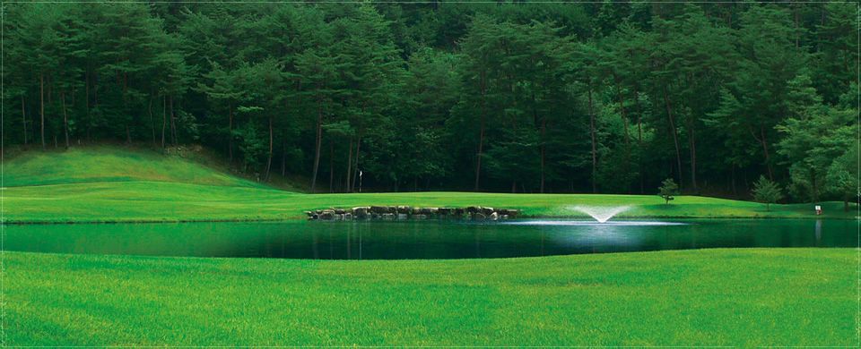 Green Birds Golf Club