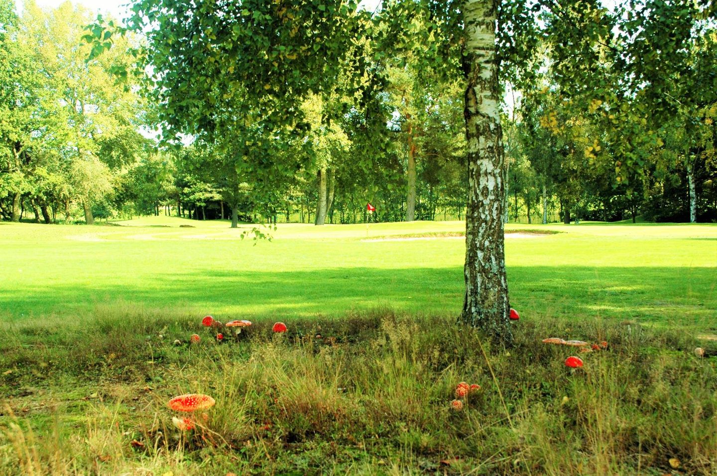 Leighton Buzzard Golf Club