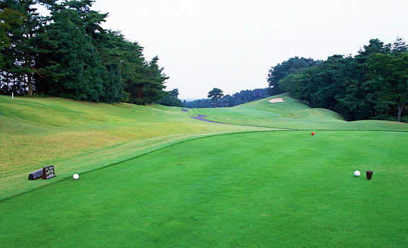 West/Middle Course