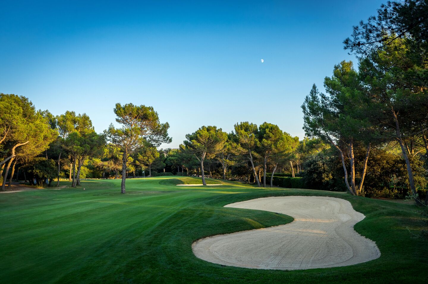 Ballesteros Course