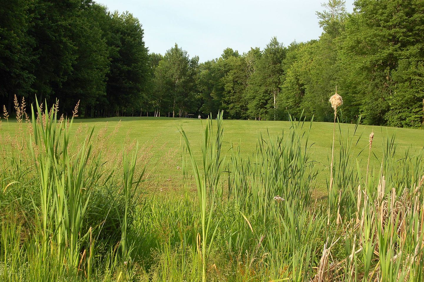 Green Course