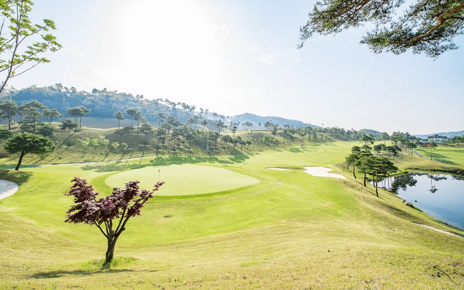 Sabi Course