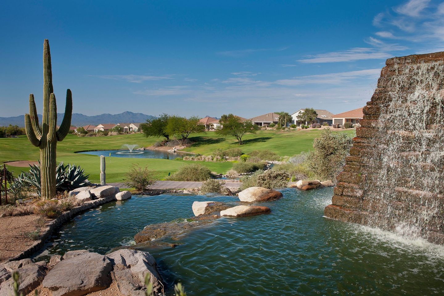 The Highlands at Dove Mountain
