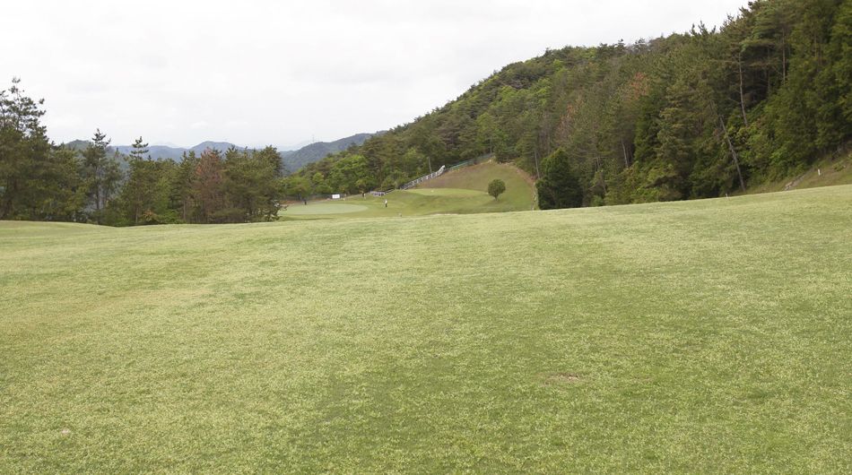 West/South Course