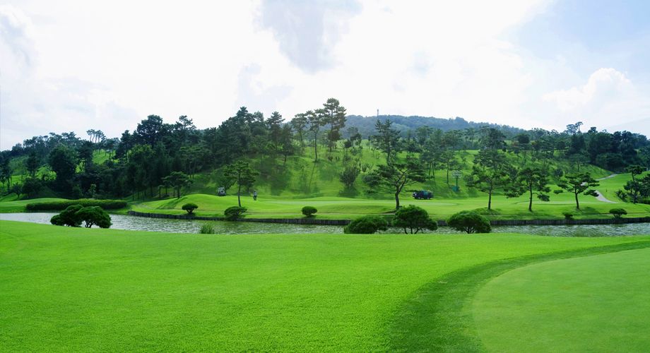 Vista Course
