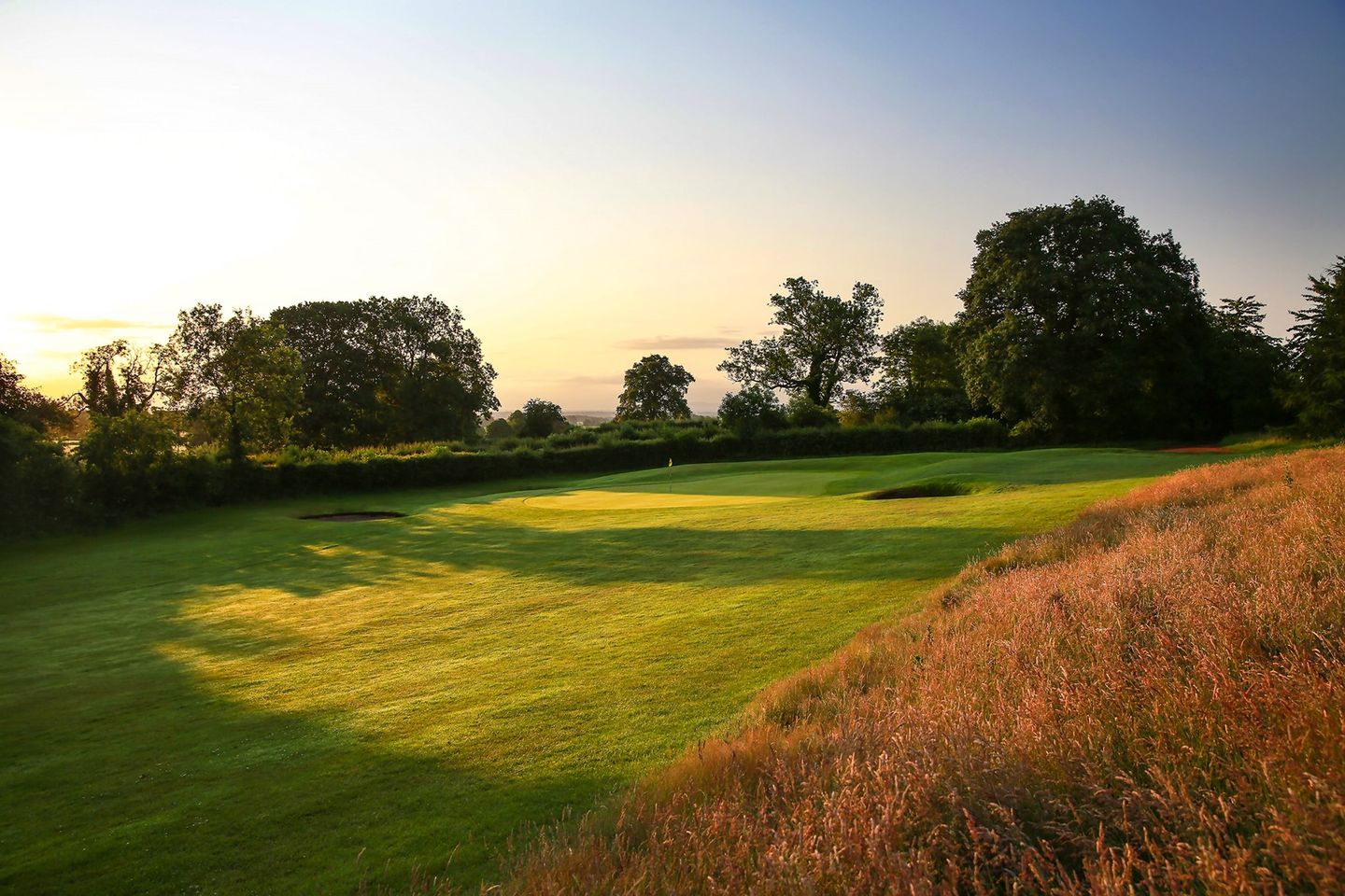 Arderne Course
