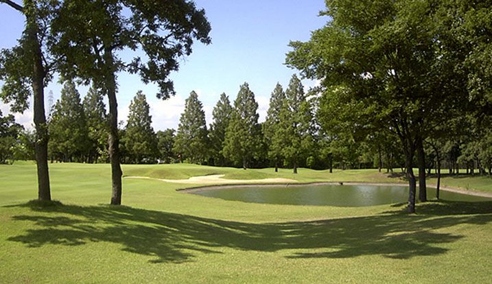 Middle Course