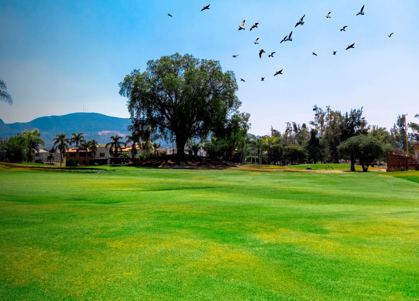 Los Naranjos Country Club