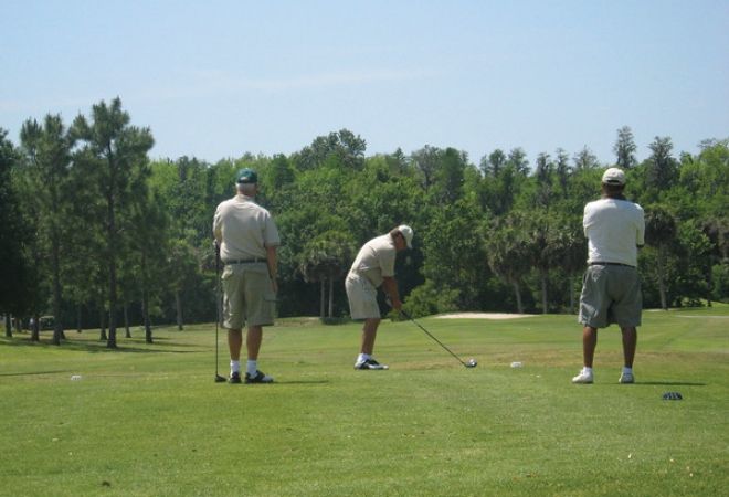 Bobcat/Gator Course